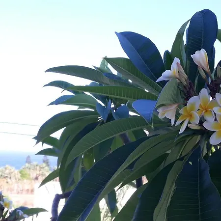 Lejlighed Sunset 'annada *