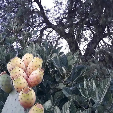 Sunset 'annada Lejlighed Arkasa