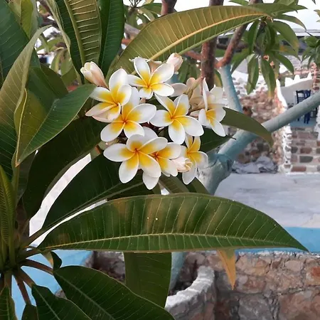 Sunset 'annada Апартаменты