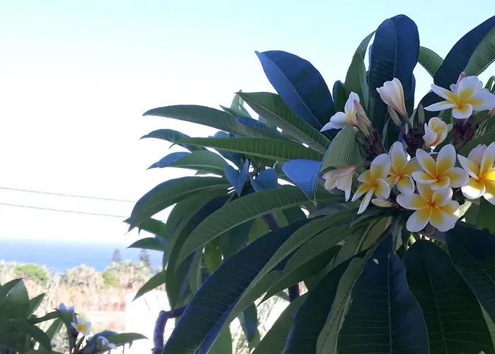 شقة Sunset 'annada *