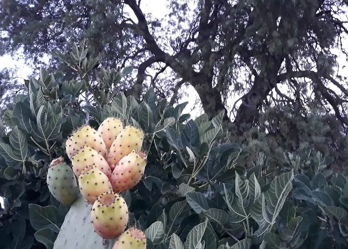 Sunset 'annada Appartement Arkasa