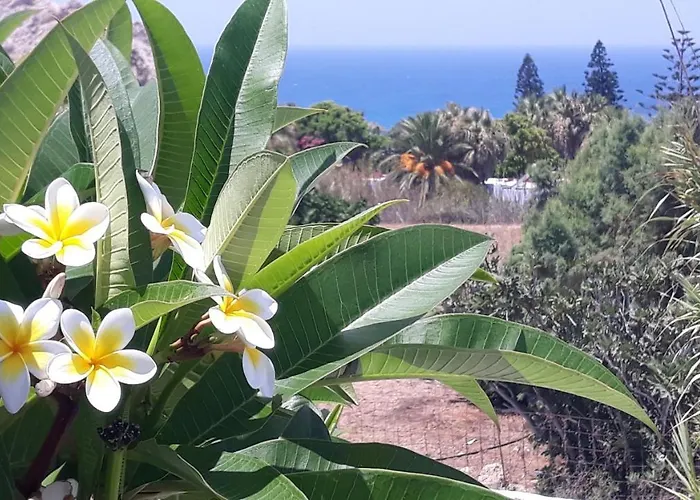 Sunset 'annada شقة