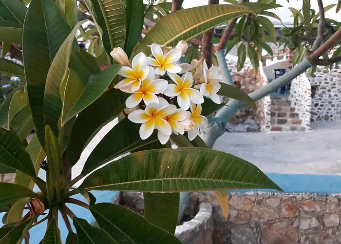 Sunset 'annada Appartement